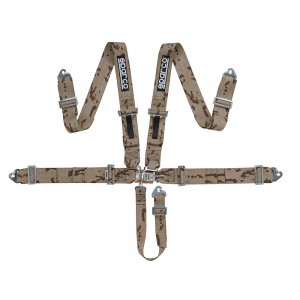 ��ǰ ������