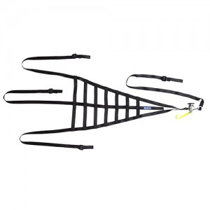 ��ǰ ������